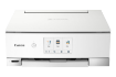 Picture for category Canon Pixma TS8251 Ink Cartridges